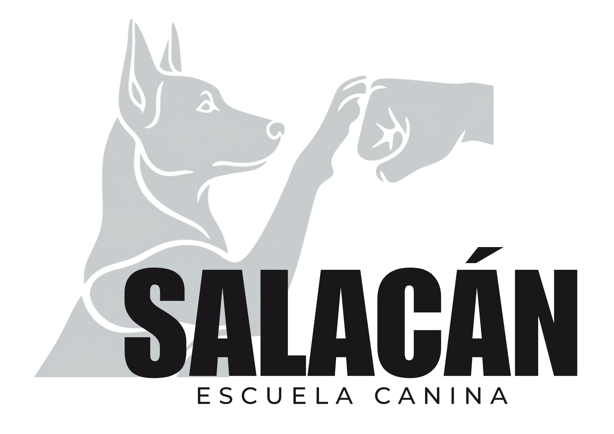 Salacán